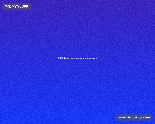 FIFA4能否购买世界杯礼盒解析与获取方式全攻略深度指南教程